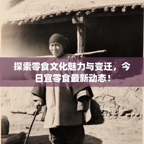探索零食文化魅力與變遷，今日宜零食最新動(dòng)態(tài)！