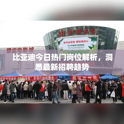 比亞迪今日熱門崗位解析，洞悉最新招聘趨勢