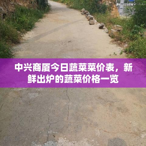 中興商廈今日蔬菜菜價(jià)表，新鮮出爐的蔬菜價(jià)格一覽