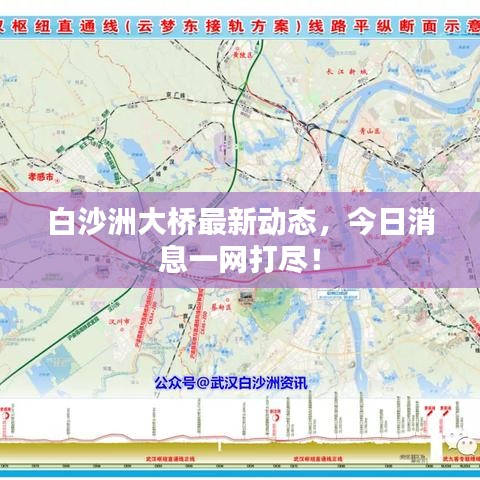 白沙洲大橋最新動態(tài)，今日消息一網(wǎng)打盡！