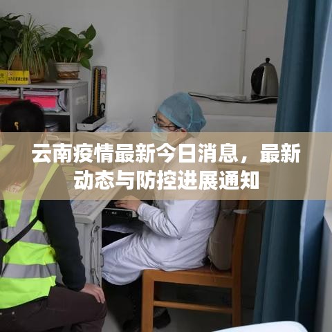云南疫情最新今日消息，最新動(dòng)態(tài)與防控進(jìn)展通知
