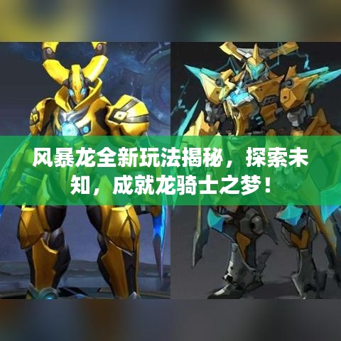 風暴龍全新玩法揭秘，探索未知，成就龍騎士之夢！