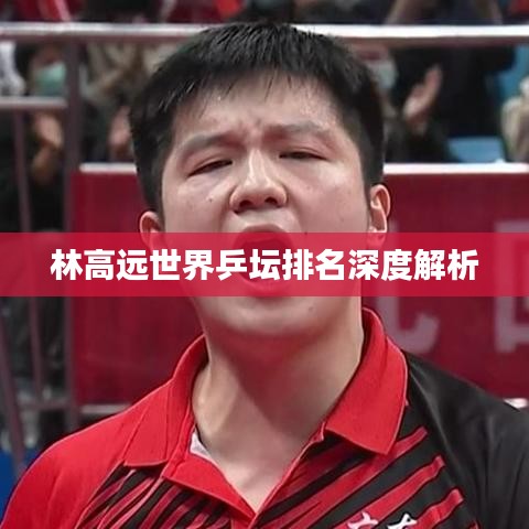 林高遠(yuǎn)世界乒壇排名深度解析