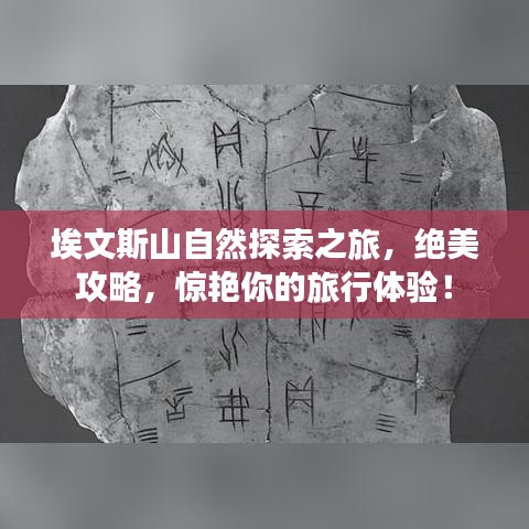 埃文斯山自然探索之旅，絕美攻略，驚艷你的旅行體驗！