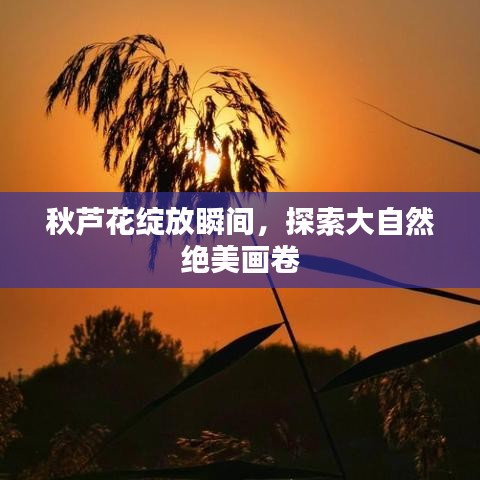 將機就機 第3頁