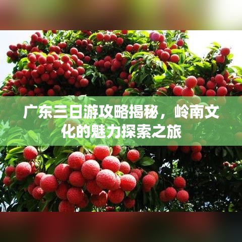 廣東三日游攻略揭秘，嶺南文化的魅力探索之旅
