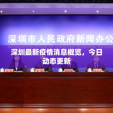 深圳最新疫情消息概覽，今日動態(tài)更新