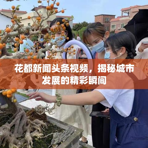 花都新聞?lì)^條視頻，揭秘城市發(fā)展的精彩瞬間