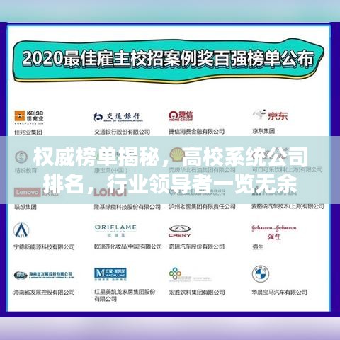 權(quán)威榜單揭秘，高校系統(tǒng)公司排名，行業(yè)領(lǐng)導(dǎo)者一覽無(wú)余