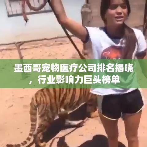 墨西哥寵物醫(yī)療公司排名揭曉，行業(yè)影響力巨頭榜單