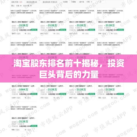 淘寶股東排名前十揭秘，投資巨頭背后的力量