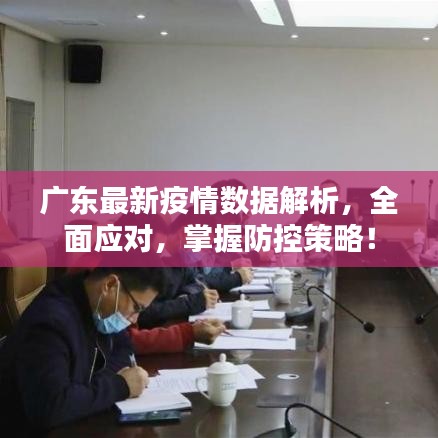 廣東最新疫情數(shù)據(jù)解析，全面應(yīng)對(duì)，掌握防控策略！