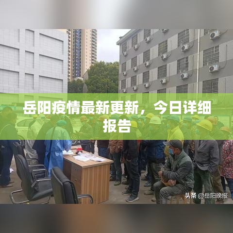 岳陽疫情最新更新，今日詳細(xì)報告