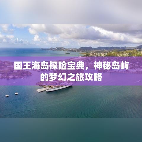 國(guó)王海島探險(xiǎn)寶典，神秘島嶼的夢(mèng)幻之旅攻略