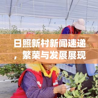 日照新村新聞速遞，繁榮與發(fā)展展現(xiàn)新面貌