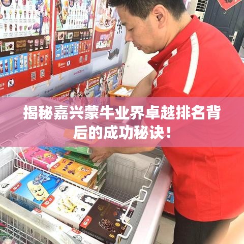 揭秘嘉興蒙牛業(yè)界卓越排名背后的成功秘訣！