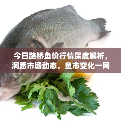 今日路橋魚價(jià)行情深度解析，洞悉市場(chǎng)動(dòng)態(tài)，魚市變化一網(wǎng)打盡！