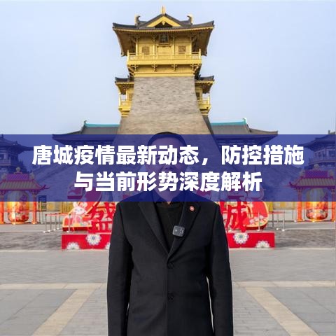 唐城疫情最新動態(tài)，防控措施與當(dāng)前形勢深度解析