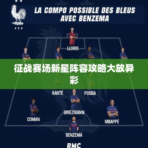 征戰(zhàn)賽場新星陣容攻略大放異彩