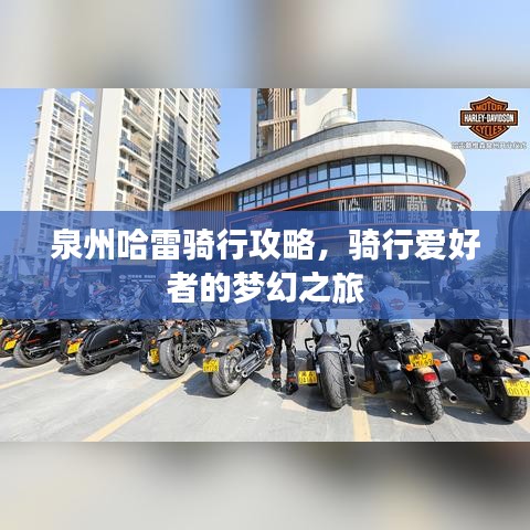 泉州哈雷騎行攻略，騎行愛(ài)好者的夢(mèng)幻之旅
