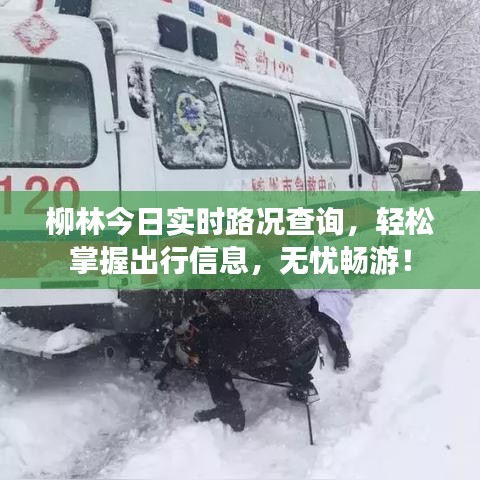 柳林今日實(shí)時(shí)路況查詢，輕松掌握出行信息，無(wú)憂暢游！