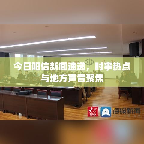 今日陽信新聞速遞，時(shí)事熱點(diǎn)與地方聲音聚焦