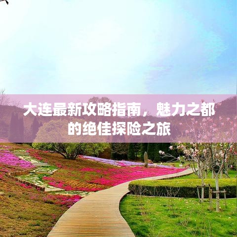 大連最新攻略指南，魅力之都的絕佳探險之旅