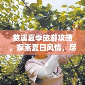 慈溪夏季旅游攻略，探索夏日風(fēng)情，盡享美麗景色