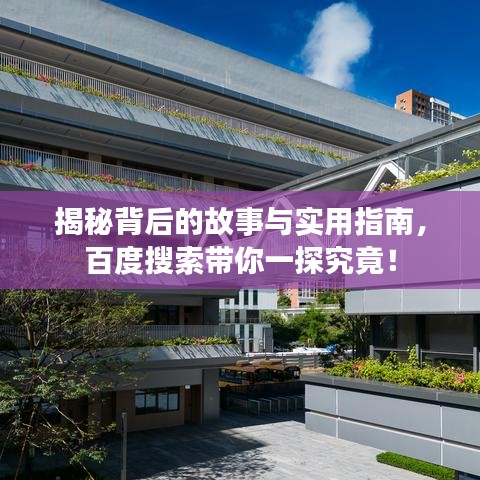 揭秘背后的故事與實(shí)用指南，百度搜索帶你一探究竟！