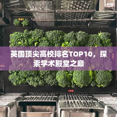 英國頂尖高校排名TOP10，探索學術(shù)殿堂之巔