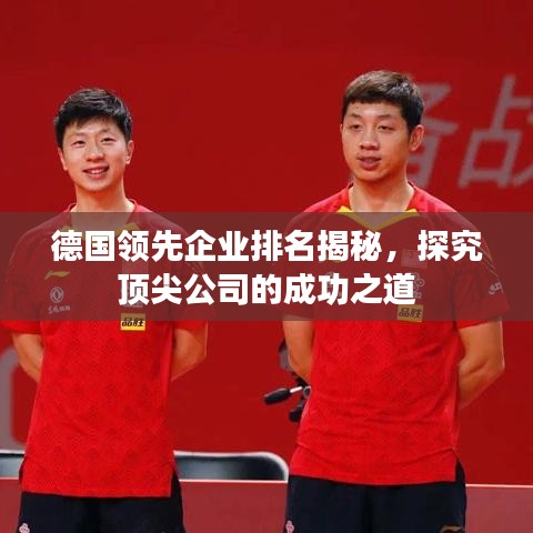 德國領(lǐng)先企業(yè)排名揭秘，探究頂尖公司的成功之道