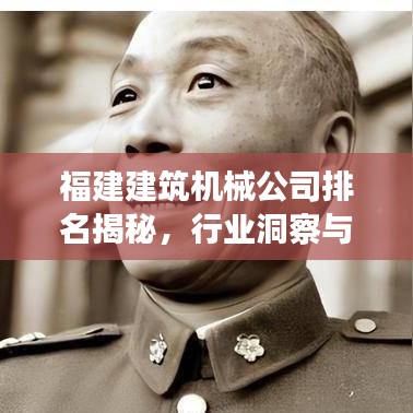 福建建筑機械公司排名揭秘，行業(yè)洞察與深度分析