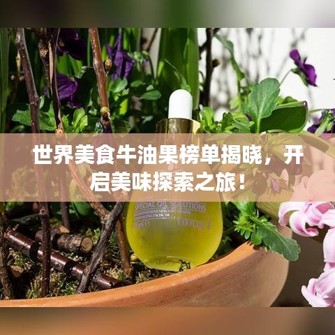 世界美食牛油果榜單揭曉，開啟美味探索之旅！