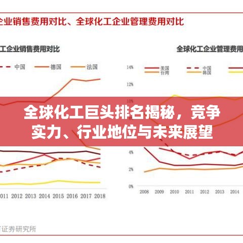全球化工巨頭排名揭秘，競(jìng)爭(zhēng)實(shí)力、行業(yè)地位與未來(lái)展望