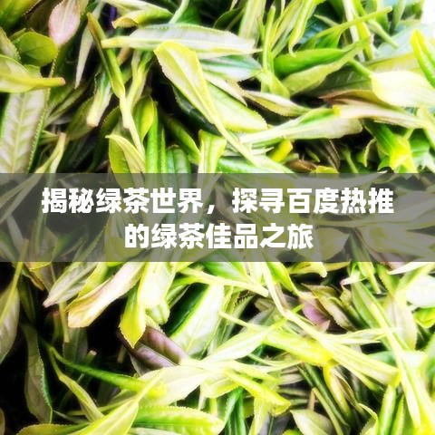 揭秘綠茶世界，探尋百度熱推的綠茶佳品之旅