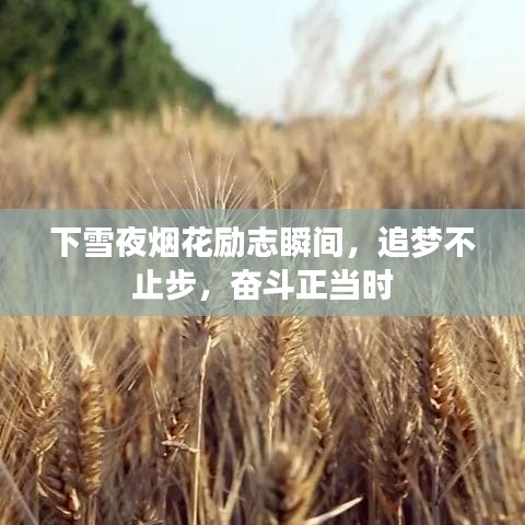 下雪夜煙花勵(lì)志瞬間，追夢(mèng)不止步，奮斗正當(dāng)時(shí)