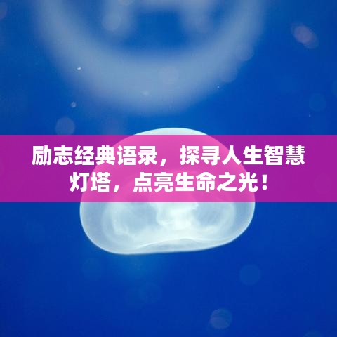勵志經(jīng)典語錄，探尋人生智慧燈塔，點亮生命之光！