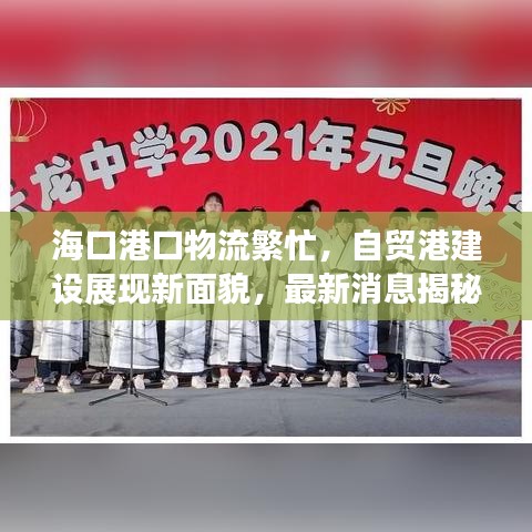 海口港口物流繁忙，自貿(mào)港建設(shè)展現(xiàn)新面貌，最新消息揭秘新進(jìn)展