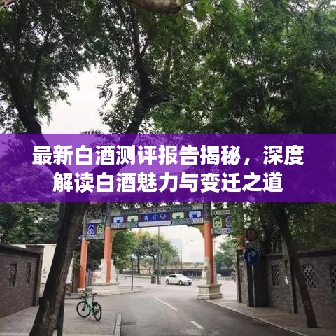 最新白酒測評報告揭秘，深度解讀白酒魅力與變遷之道