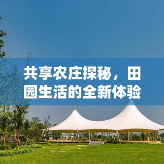 共享農(nóng)莊探秘，田園生活的全新體驗攻略