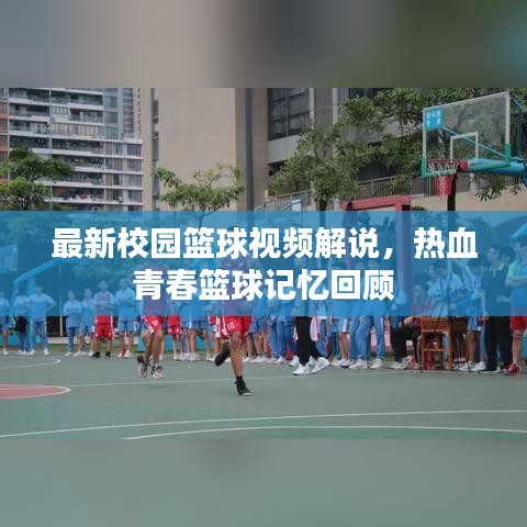 最新校園籃球視頻解說，熱血青春籃球記憶回顧