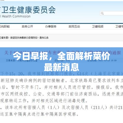 今日早報，全面解析菜價最新消息