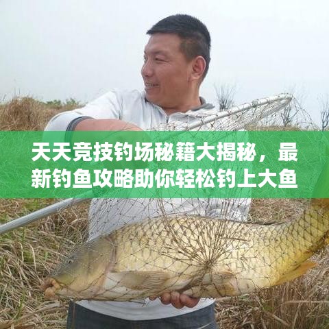 天天競技釣場秘籍大揭秘，最新釣魚攻略助你輕松釣上大魚！