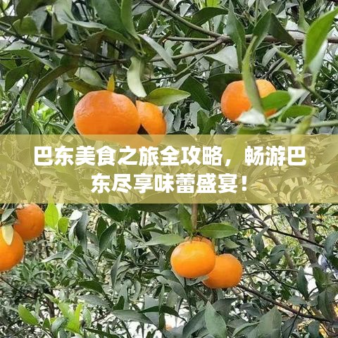 巴東美食之旅全攻略，暢游巴東盡享味蕾盛宴！