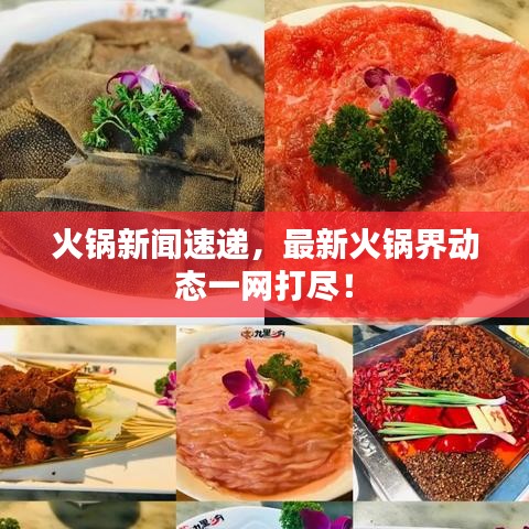 火鍋新聞速遞，最新火鍋界動(dòng)態(tài)一網(wǎng)打盡！