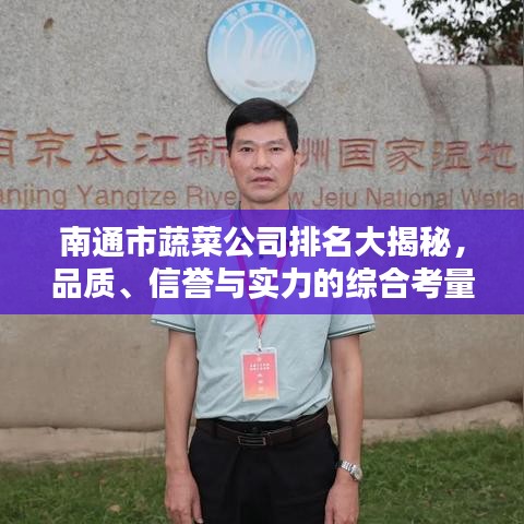 南通市蔬菜公司排名大揭秘，品質(zhì)、信譽(yù)與實(shí)力的綜合考量榜單出爐！