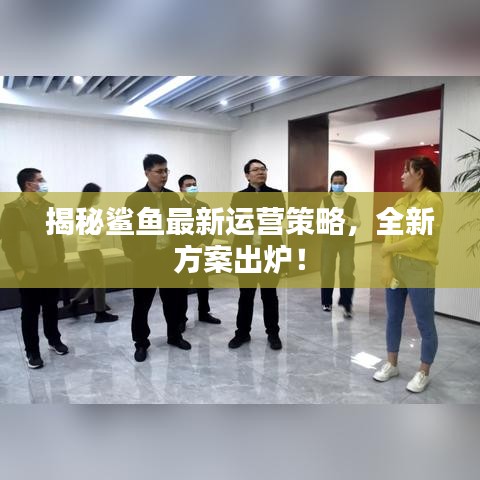 揭秘鯊魚最新運營策略，全新方案出爐！