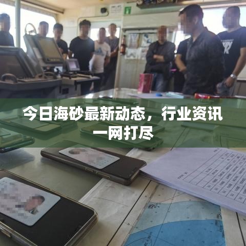 今日海砂最新動(dòng)態(tài)，行業(yè)資訊一網(wǎng)打盡