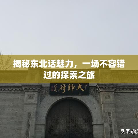 揭秘東北話魅力，一場(chǎng)不容錯(cuò)過的探索之旅