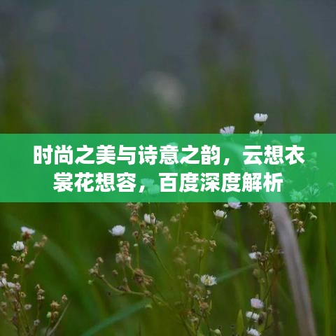 時尚之美與詩意之韻，云想衣裳花想容，百度深度解析